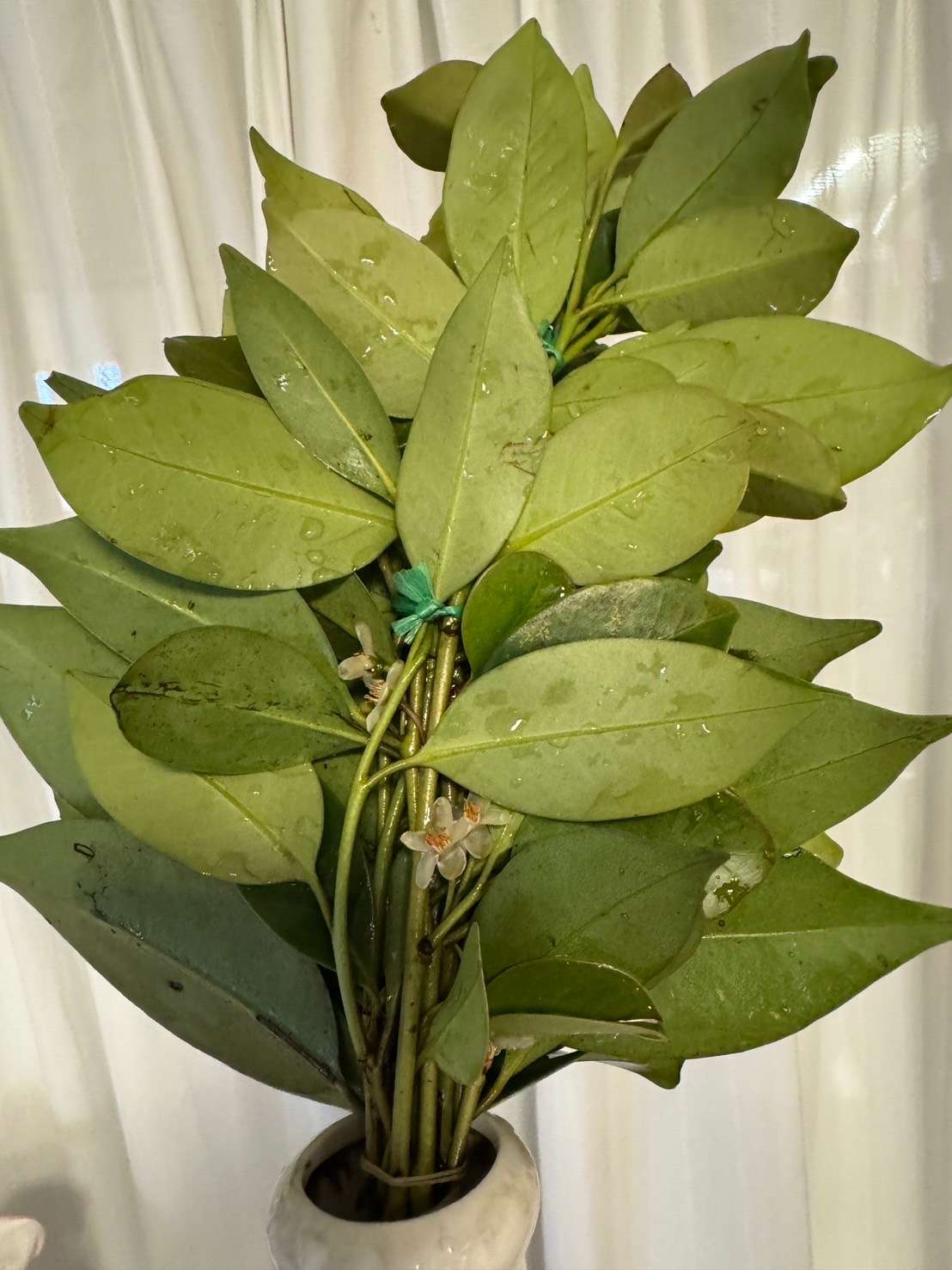 夏に向けてリフォーム